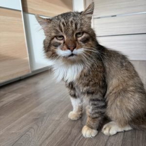 PUARO