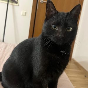 COSMO