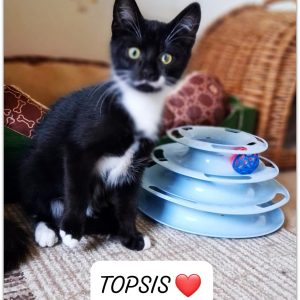 TOPSIS