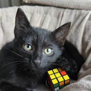 LUNA