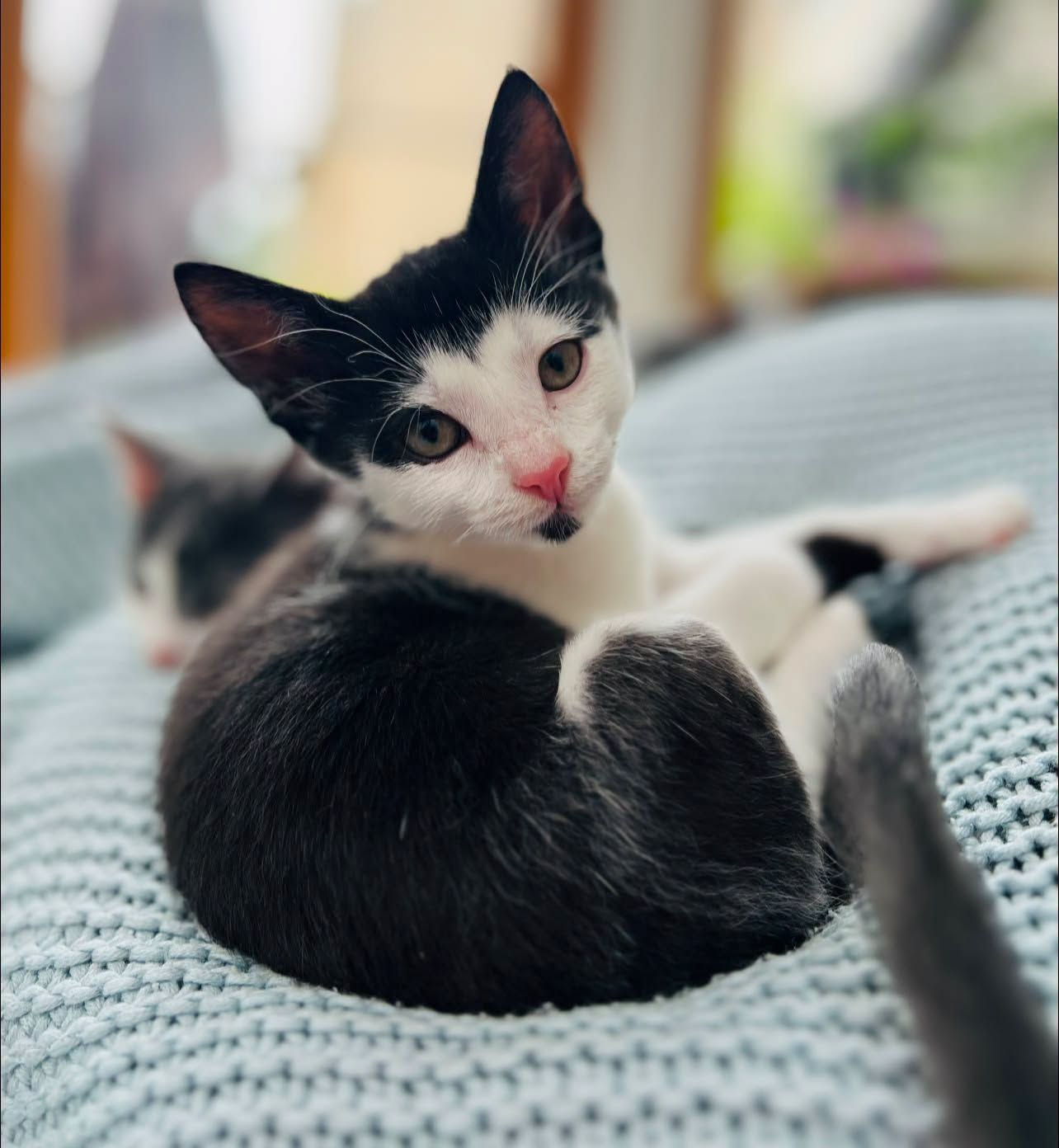 MUU - Image 9