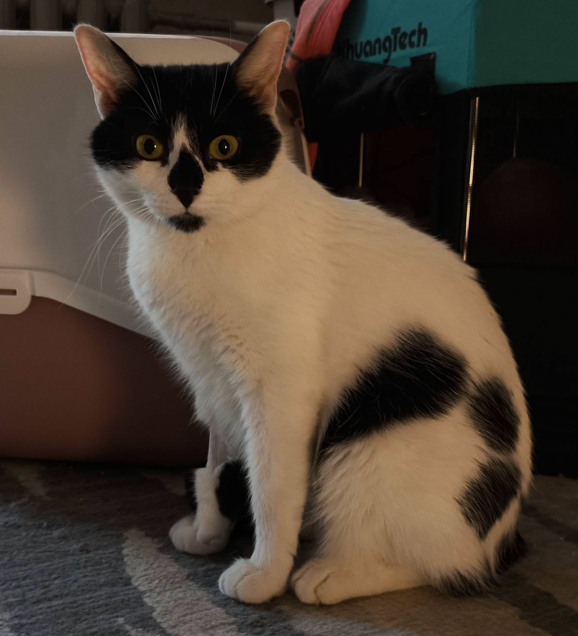 KEIKO - Image 3