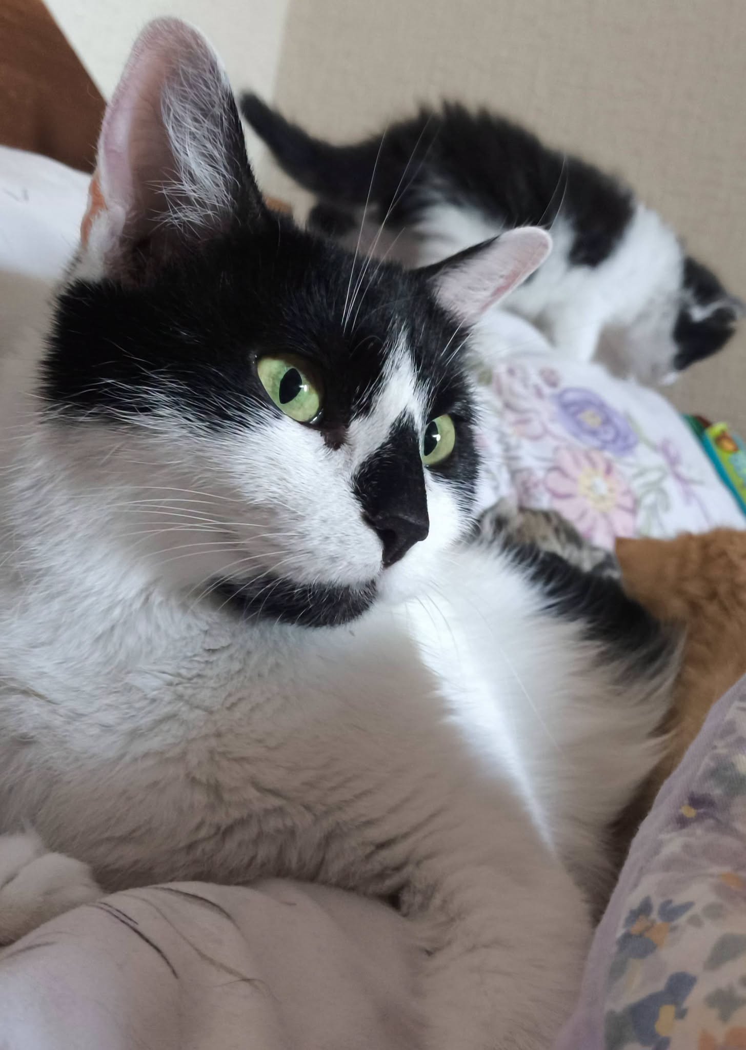 KEIKO