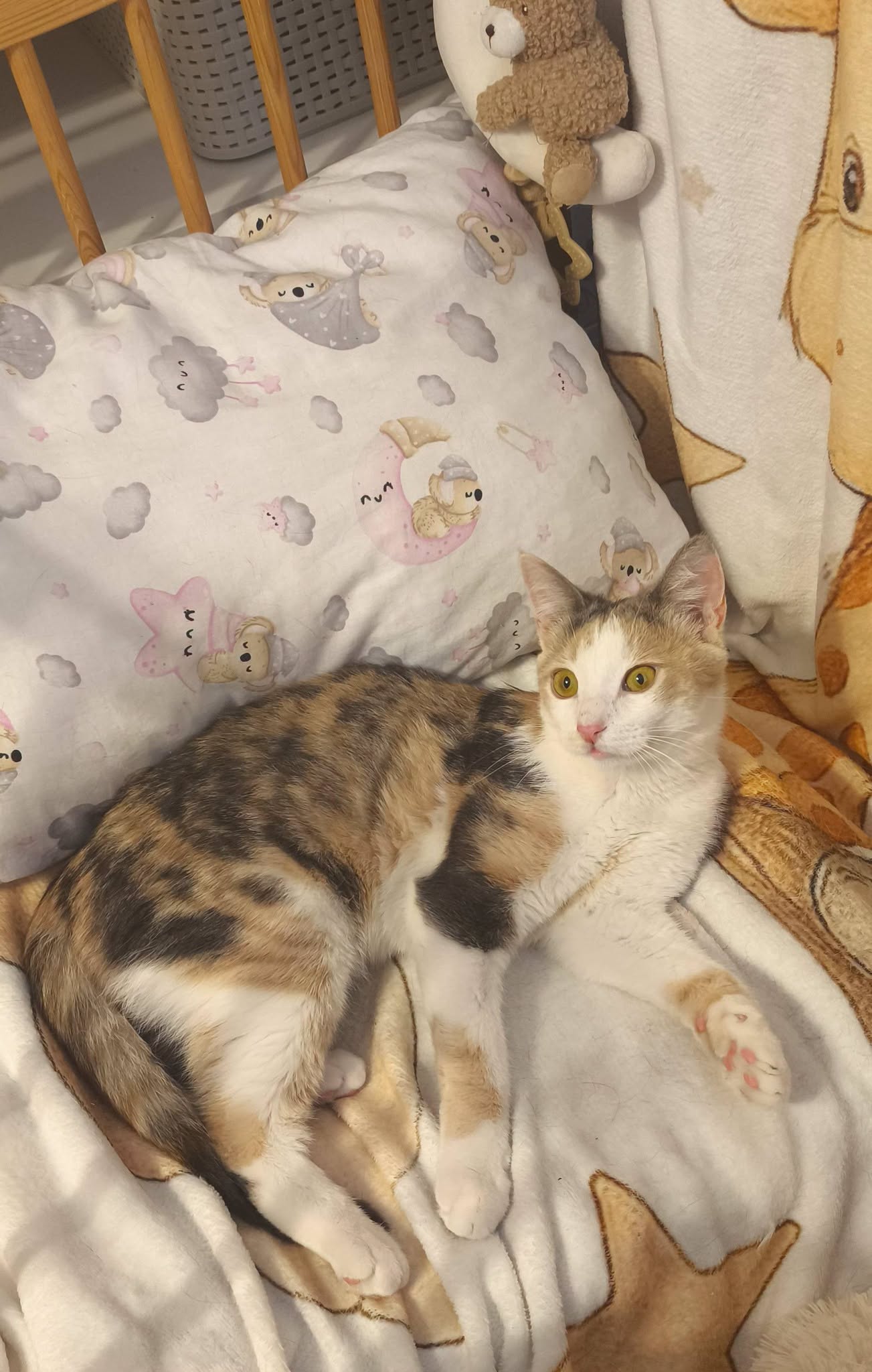MILLE - Image 2