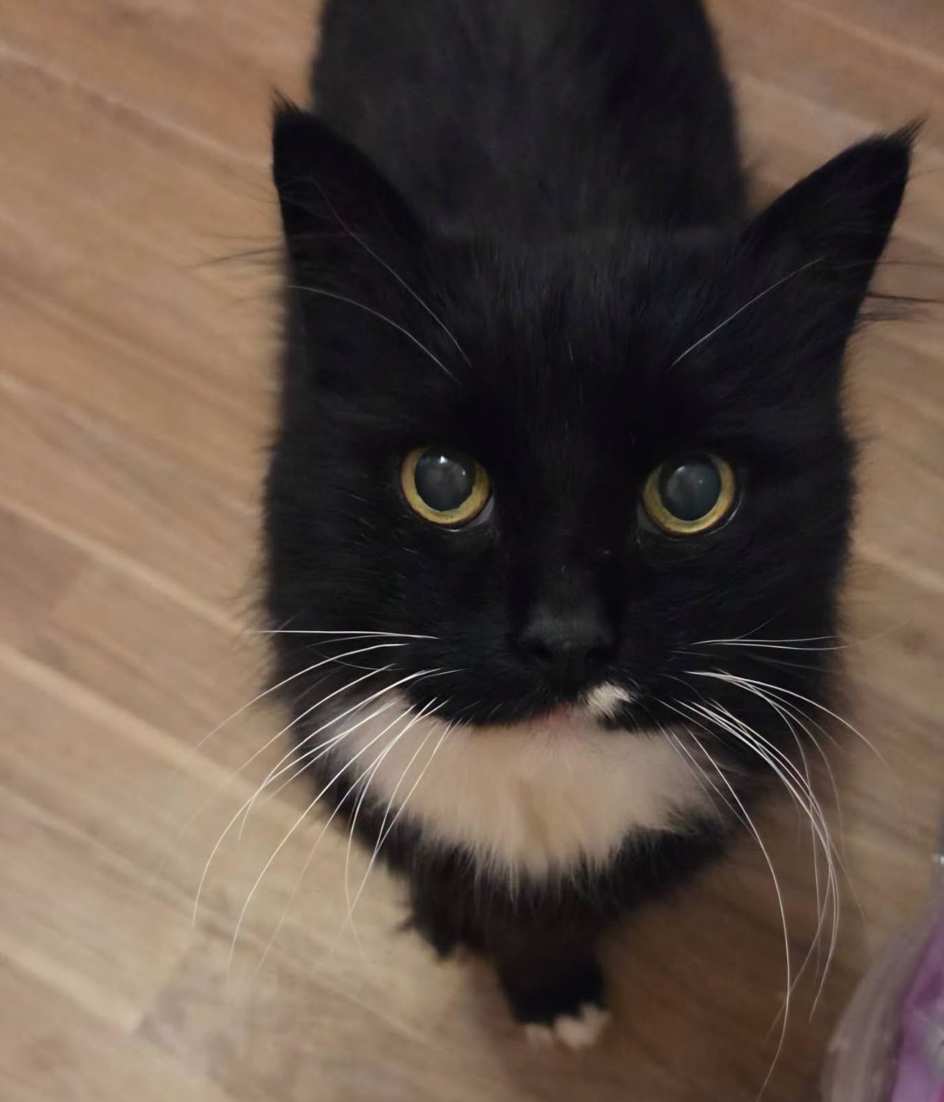 NIKO